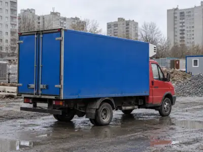Рефрижератор 1.5 т Санкт-Петербург — Челябинск, фото 4 — сзади