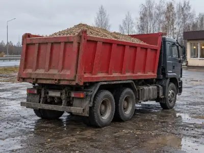 Самосвал 20 т Челябинск — Новороссийск, фото 4 — сзади