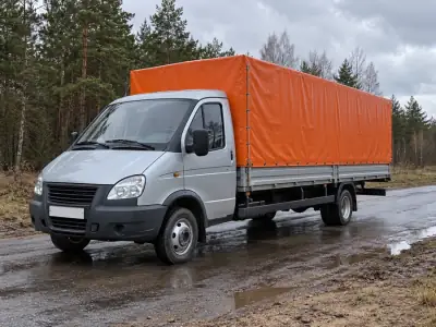 Газель 3 т Нижний Новгород — Екатеринбург, фото 4 — сзади