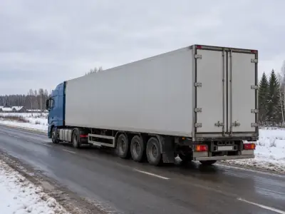 Реф-еврофура 20 т Санкт-Петербург — Великий Новгород, фото 4 — сзади