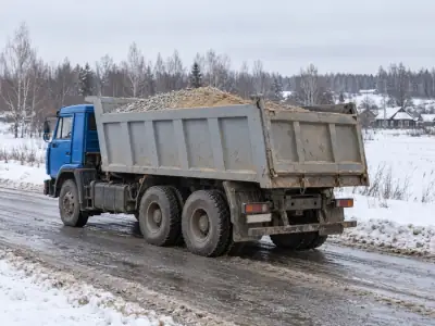 Самосвал 20 т Ростов-на-Дону — Санкт-Петербург, фото 4 — сзади