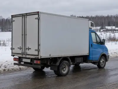 Рефрижератор 1.5 т Москва — Волгоград, фото 4 — сзади