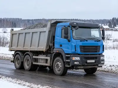 Самосвал 20 т Ростов-на-Дону — Омск, фото 2 — с другой стороны