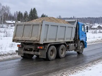 Самосвал 20 т Ростов-на-Дону — Омск, фото 4 — сзади