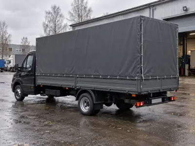 Газель 3 т Тольятти — Новосибирск, фото 4 — сзади