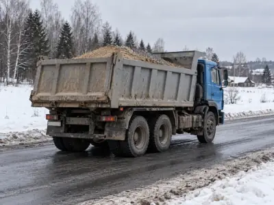 Самосвал 20 т Санкт-Петербург — Омск, фото 4 — сзади